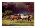Buy Arabians After a Storm at Art.com