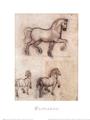 Buy Studi per un Monumento Equestre (on special paper) at Art.com