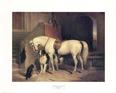 Buy Prince George`s Favorites at Art.com