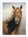 Buy American Quarter Horse at Art.com
