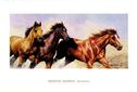 Buy Wild and Free at Art.com