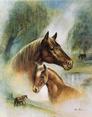 Buy Chestnut Mare and Foal at Art.com