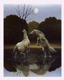 Buy Stallion Moonlight Duel at Art.com