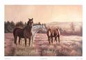 Buy Evening Rest at Art.com