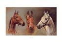 Buy We Three Kings at Art.com