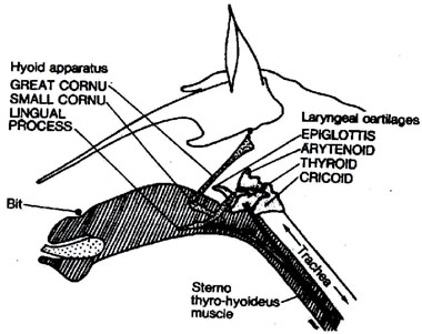 3-28f.jpg (37047 bytes)