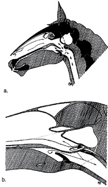 3-28h.jpg (31578 bytes)