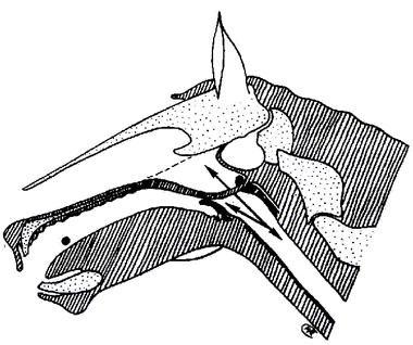 3-28i.jpg (41877 bytes)