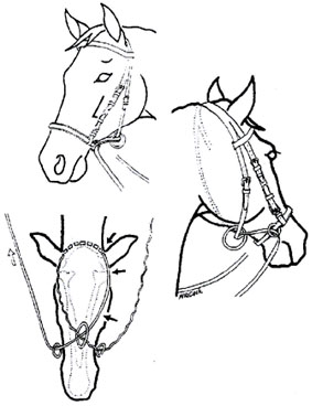 3-28k.jpg (28247 bytes)